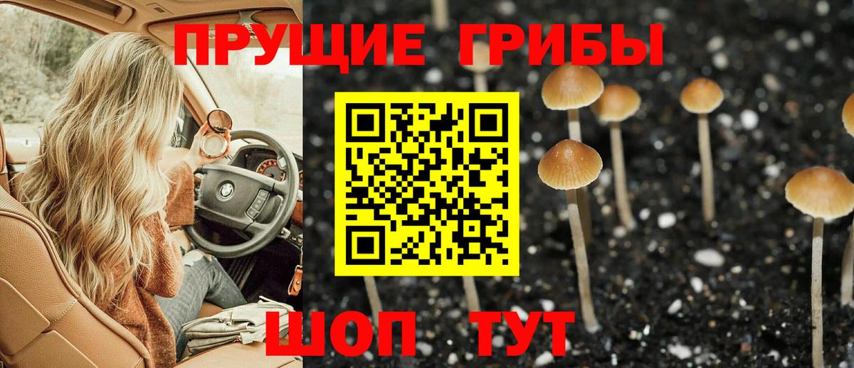 Ефремов  Галлюциногенные грибы мухоморы  Вход с VPN 