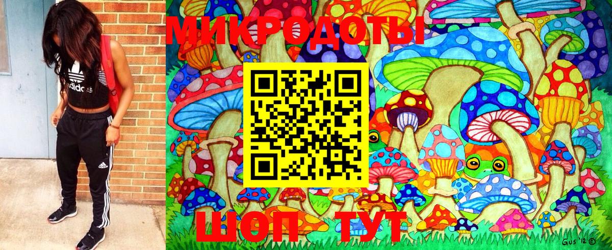 Галлюциногенные грибы Magic Shrooms Ефремов