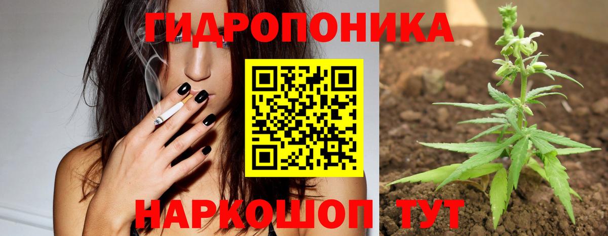 Ефремов  Каннабис Bruce Banner  Каннабис марихуана  Бошки марихуана VHQ  Вход с VPN  Шишки марихуана сатива 